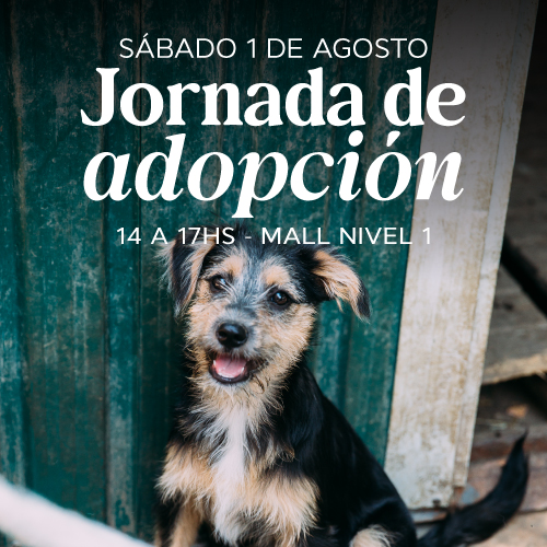 Adopciones en Portones