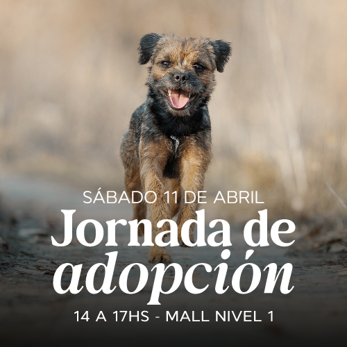 Adopciones en Portones