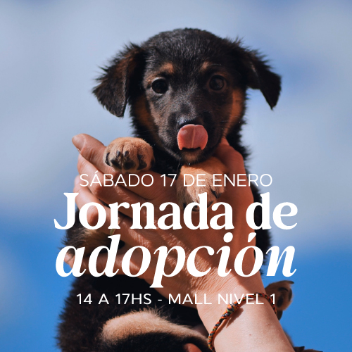 Adopciones en Portones