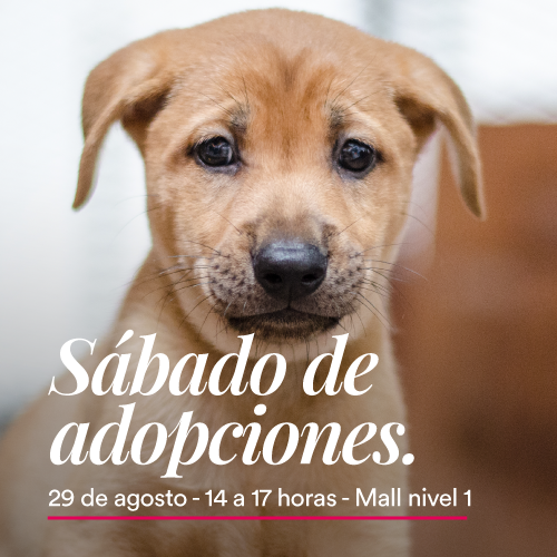 Adopciones en Portones