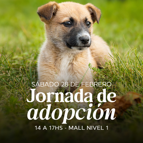 Adopciones en Portones