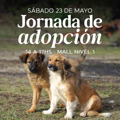 Adopciones en Portones