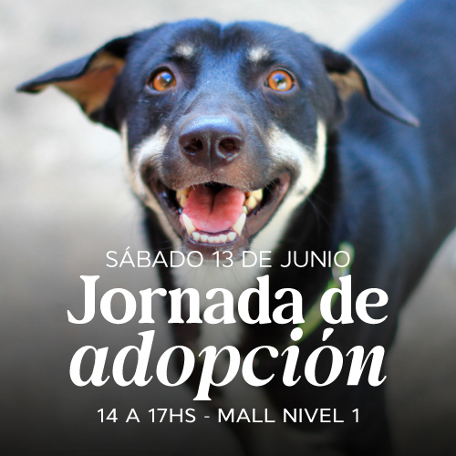 Adopciones en Portones