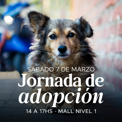 Adopciones en Portones