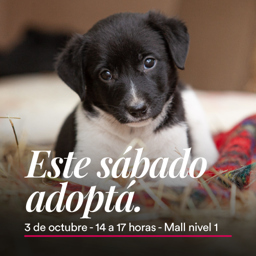 Adopciones en Portones