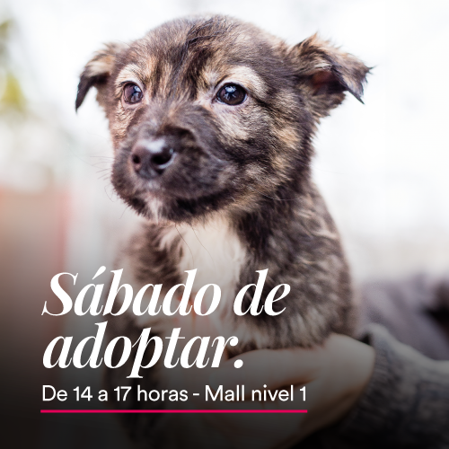 Adopciones en Portones