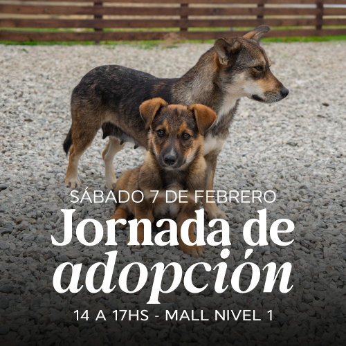 Adopciones en Portones