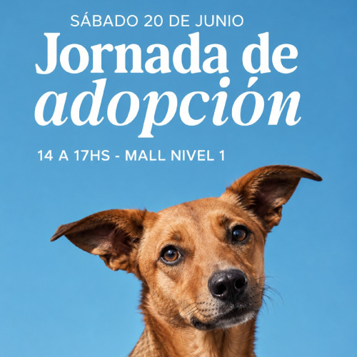 Adopciones en Portones