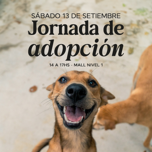 Adopciones en Portones