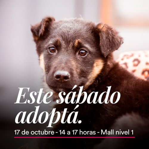 Adopciones en Portones