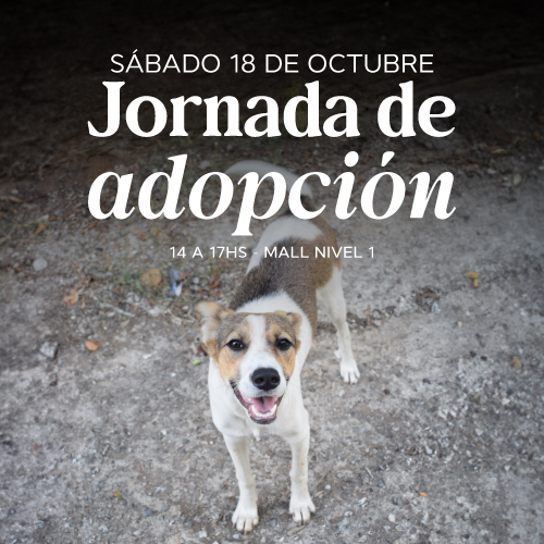 Adopciones en Portones