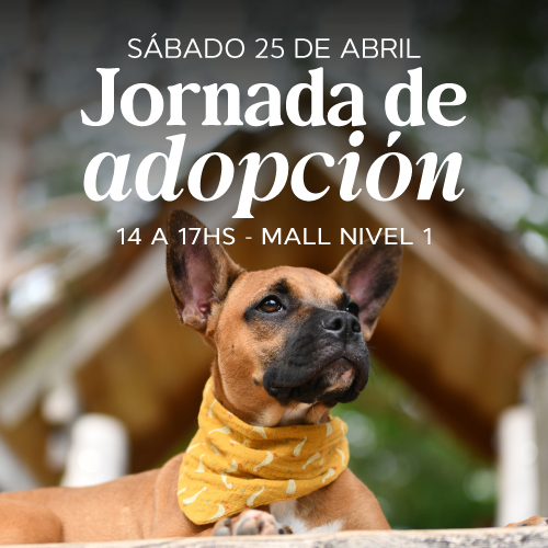 Adopciones en Portones